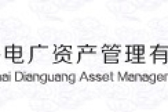 上海电广资产响应式网站开发